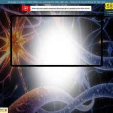 Millionaire’s Brain Academy